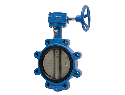 Lug Type Butterfly Valve