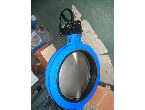 U Type Butterfly Valve