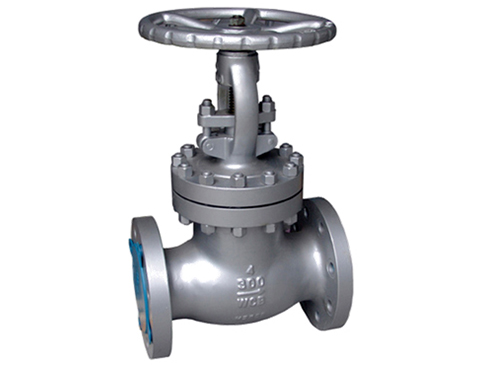 API Globe Valve