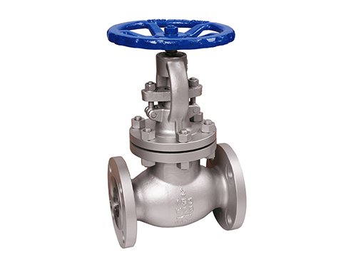 API Globe Valve