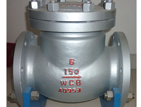 API Swing Check Valve